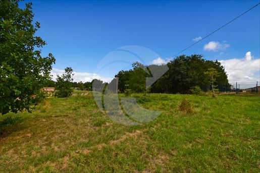 Terrain 1000 m² · à L'Honor-de-Cos · 1 000 m² · 49 800 €