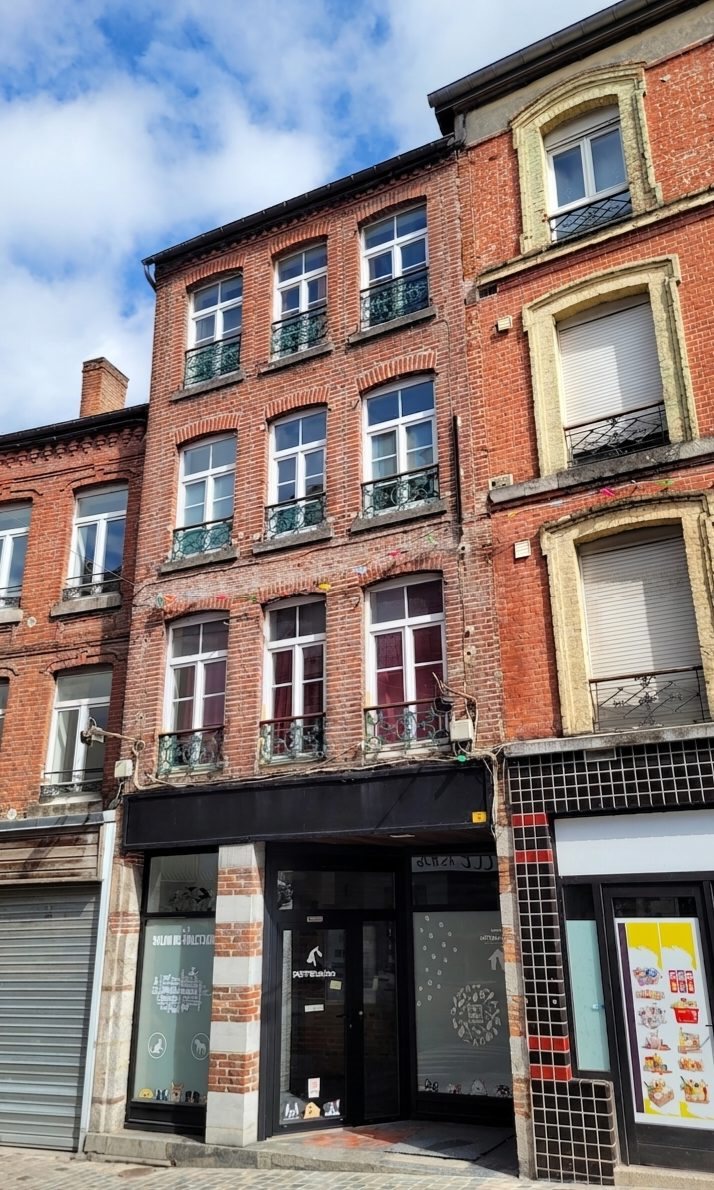 Maison à vendre, 205m², Avesnes-sur-Helpe
