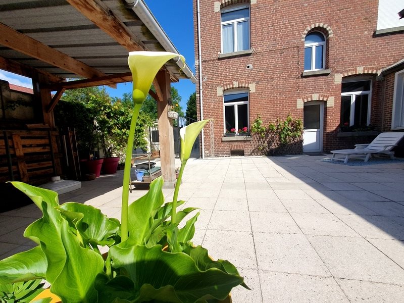 Maison à vendre, 230m², Albert