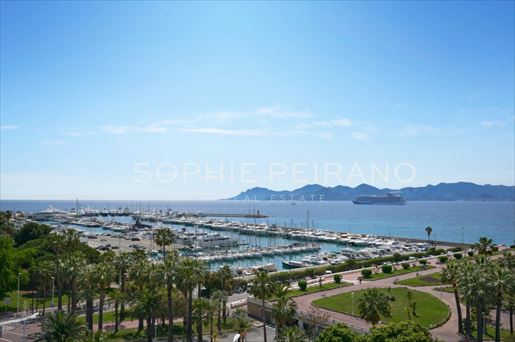 Cannes (Alpes-Maritimes)
