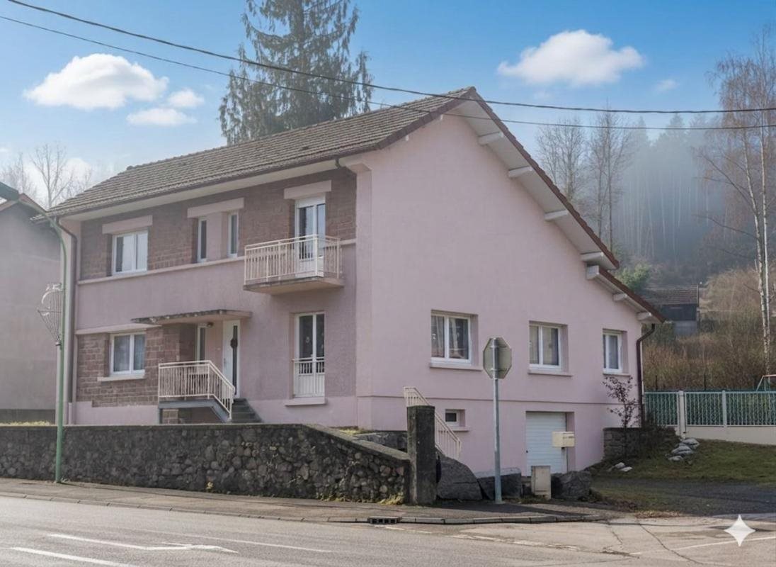 Maison à vendre, 200m², Fraize
