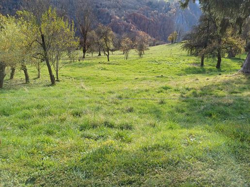 Terrain, terrain 667 m² — Montaimont (Savoie) · 77 000 €
