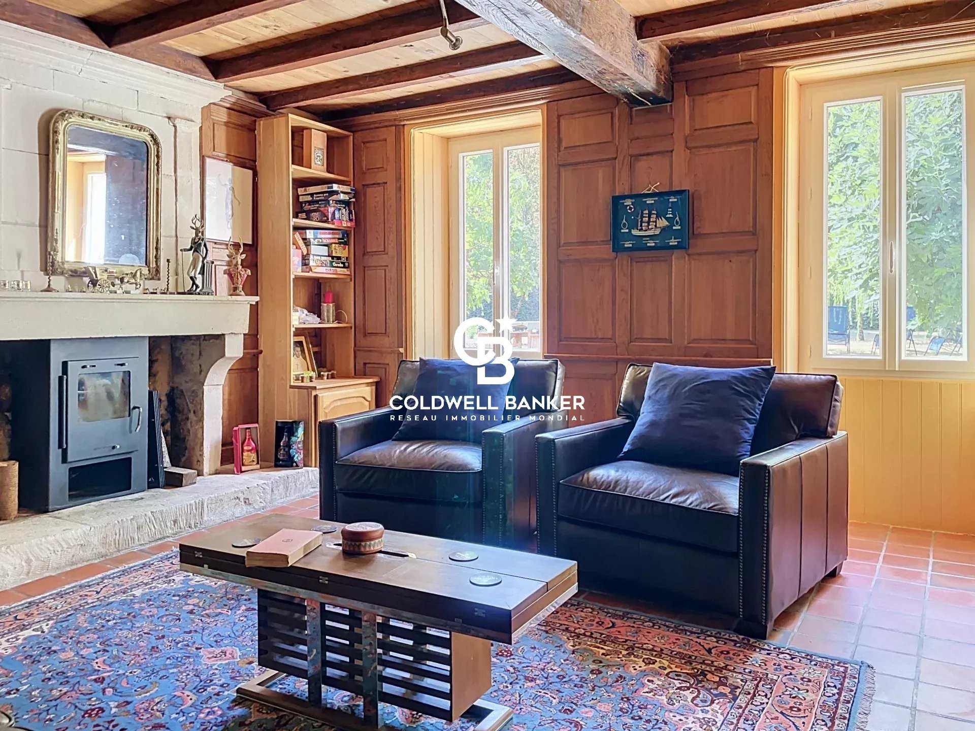 Maison à vendre, 480m², Saint-Savinien