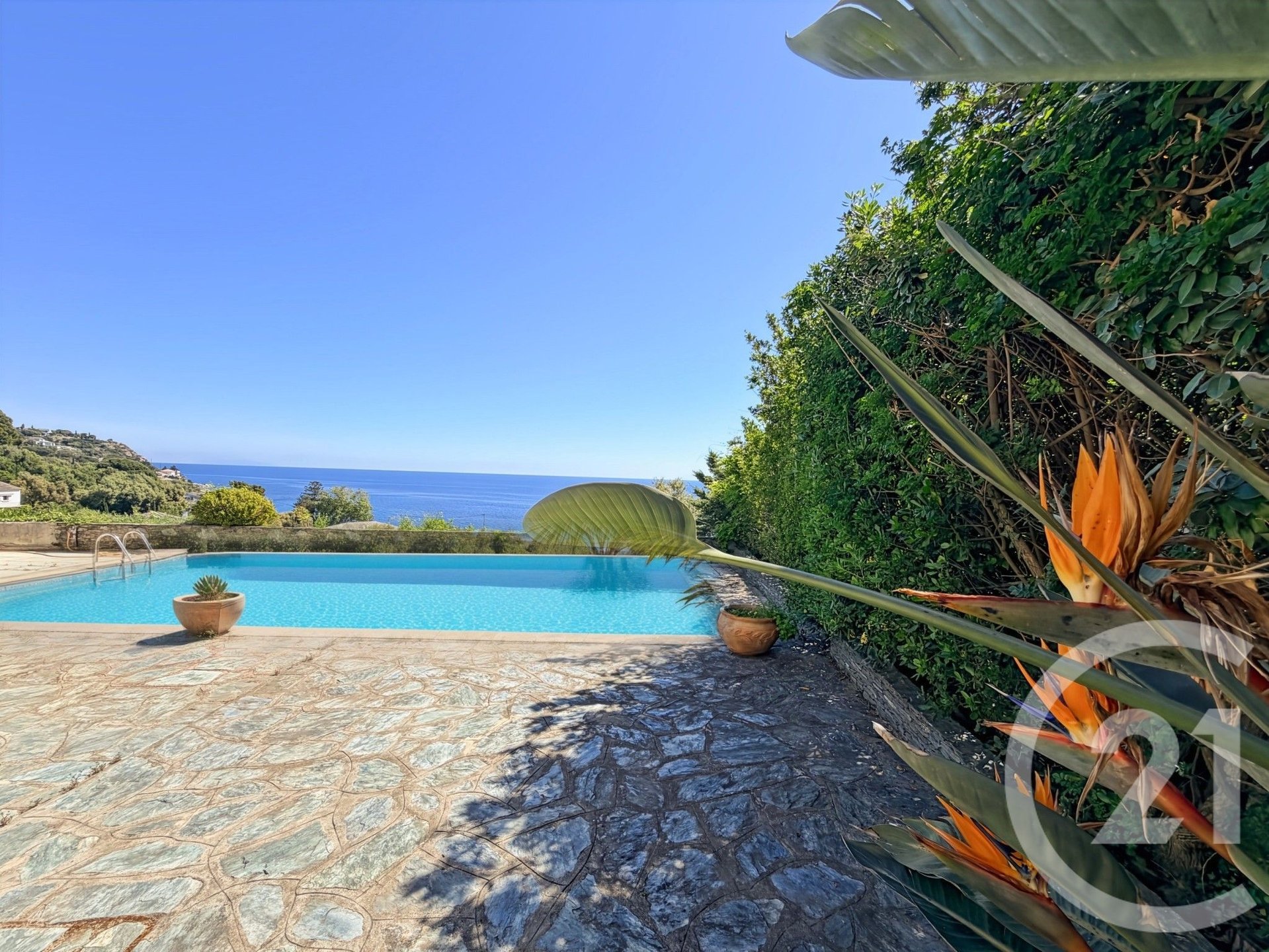 Santa-Maria-di-Lota (Upper Corsica)
