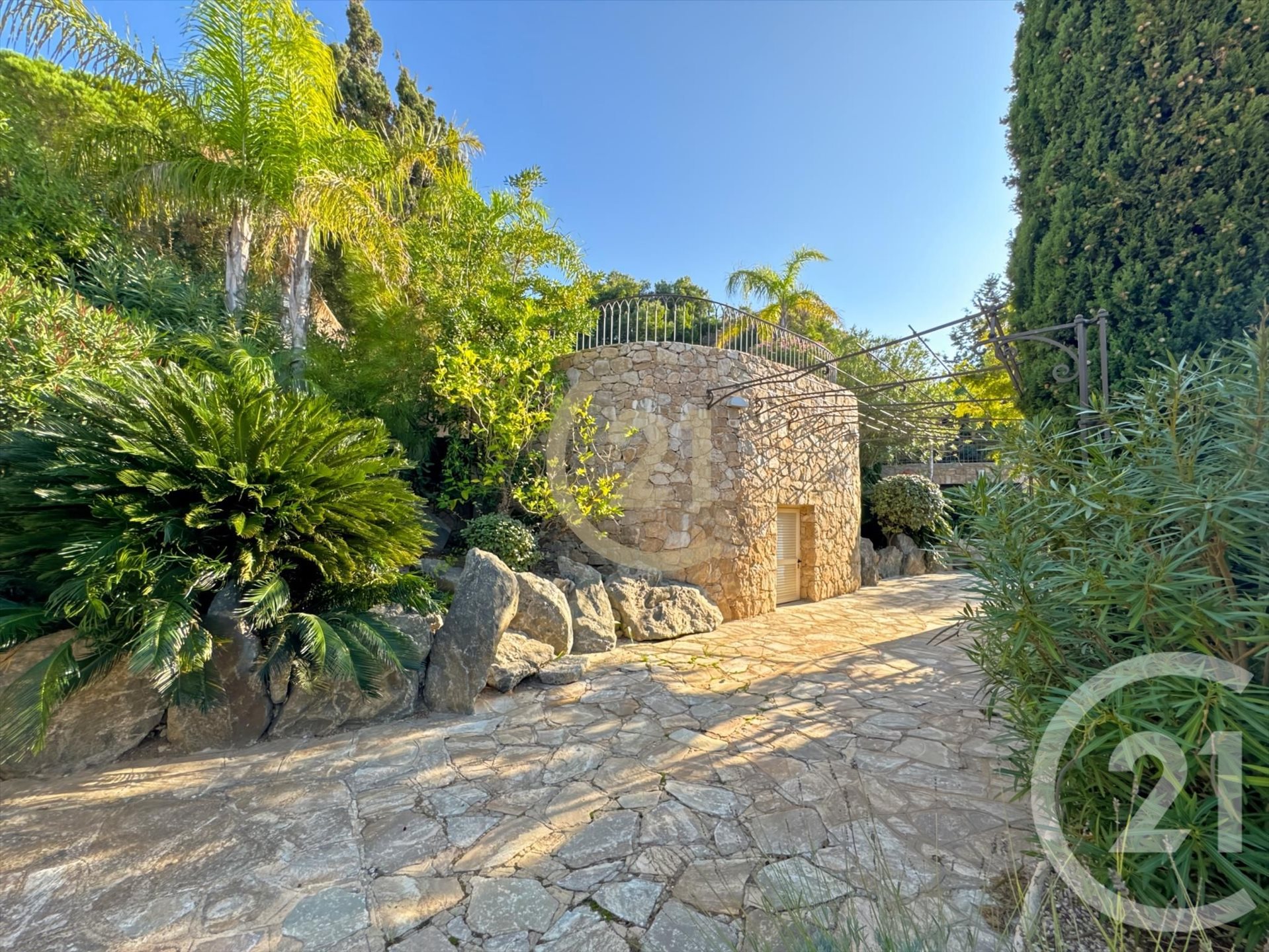 Corbara (Upper Corsica) photo 4