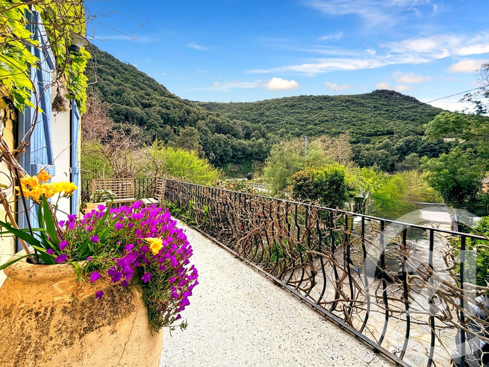 Olmeta-di-Capocorso (Upper Corsica)