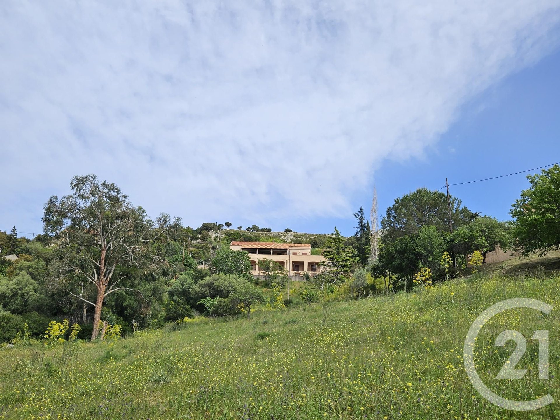 Saint-Florent (Upper Corsica) photo 4