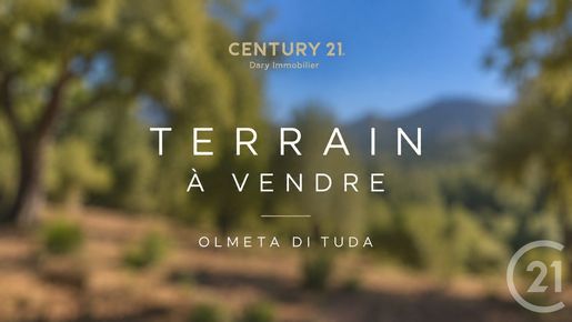 Terrain, terrain 6556 m² — Olmeta-di-Tuda (Haute-Corse) · 55 000 €