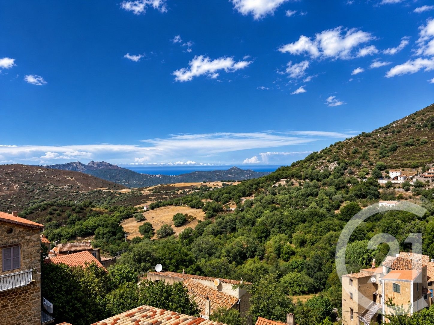 Nessa (Upper Corsica)