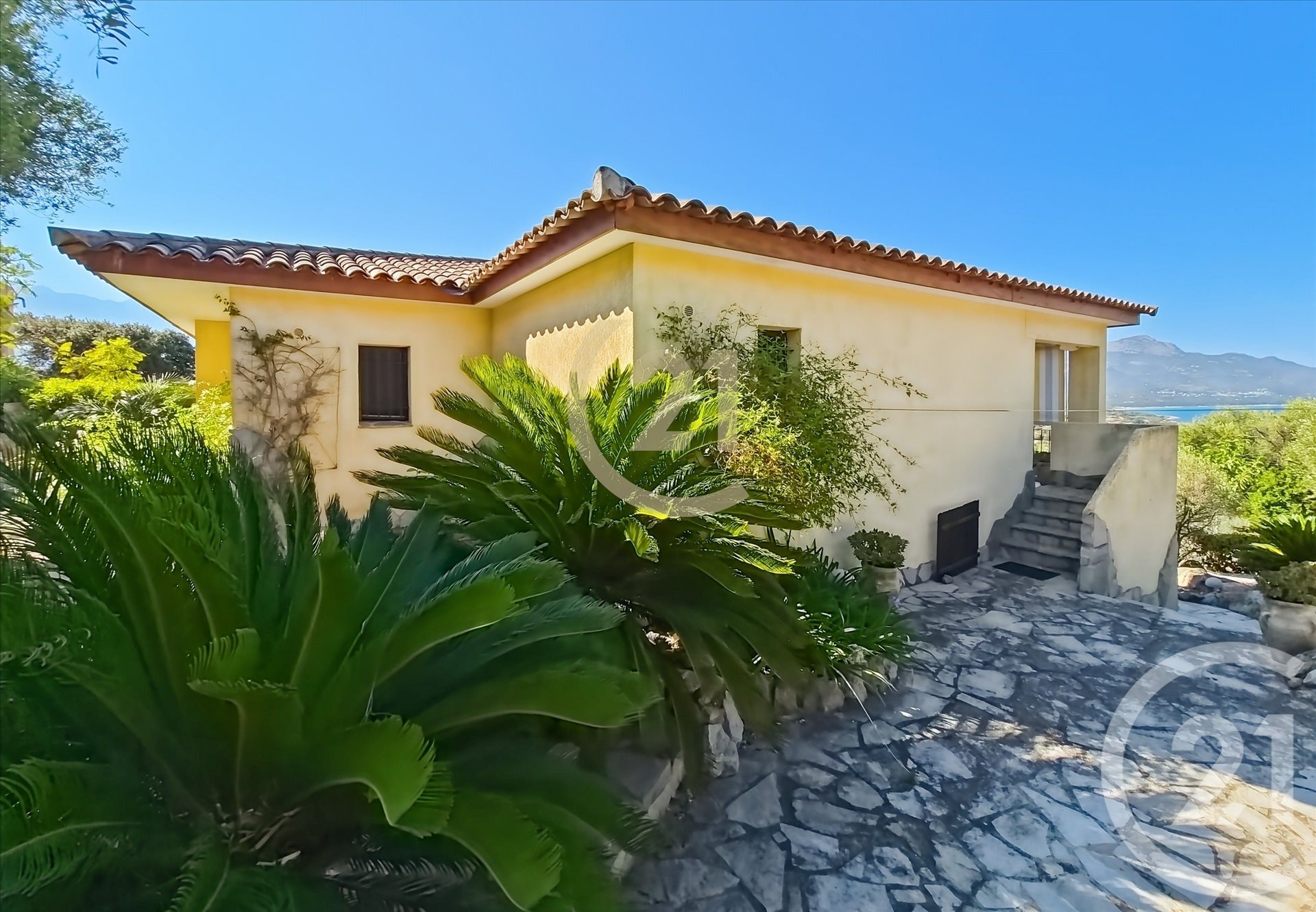 Lumio (Upper Corsica) photo 2