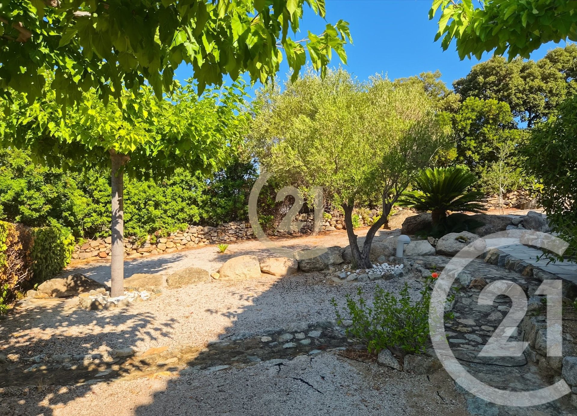 Lumio (Upper Corsica) photo 4