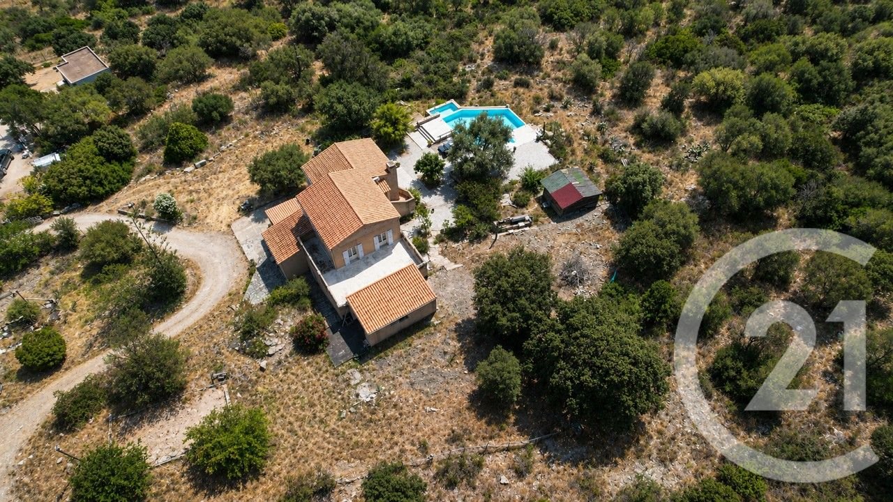Palasca (Upper Corsica) photo 3