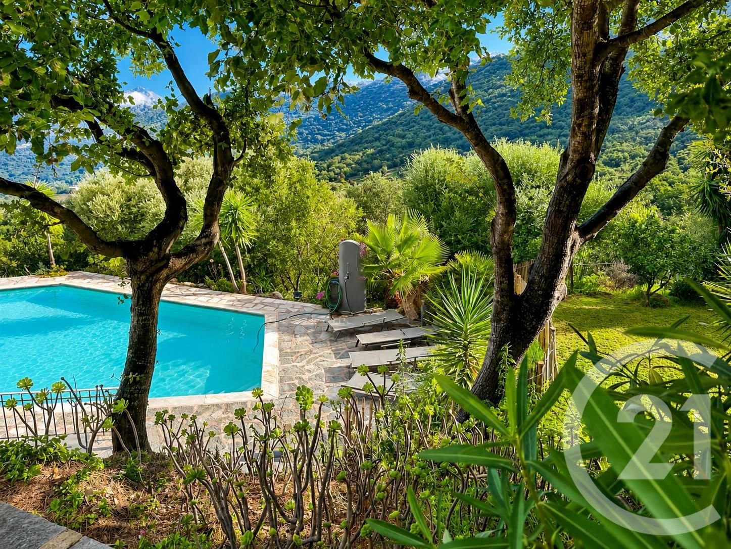 Monticello (Upper Corsica) photo 3
