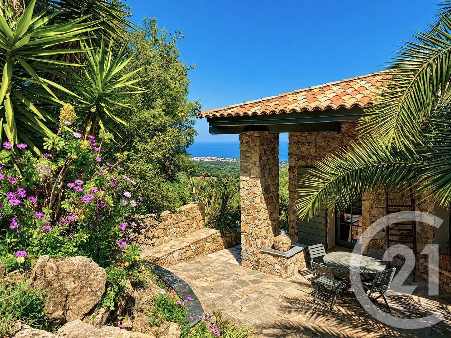 Monticello (Upper Corsica) photo 5