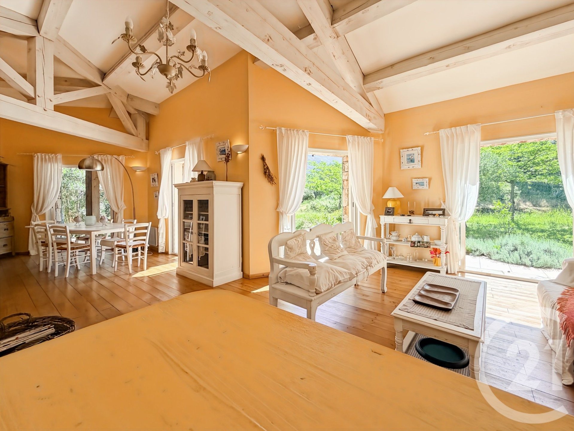 Oletta (Upper Corsica) photo 5