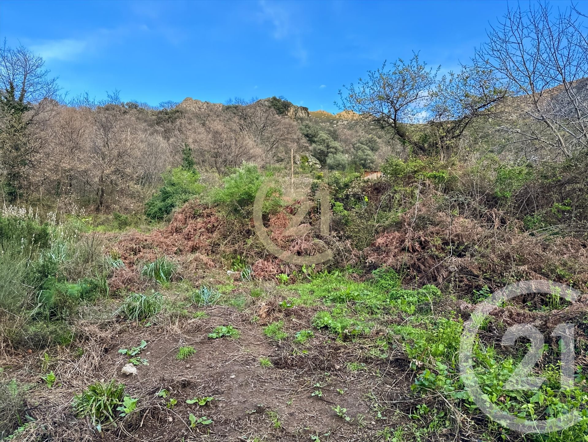 Ville-di-Paraso (Upper Corsica)
