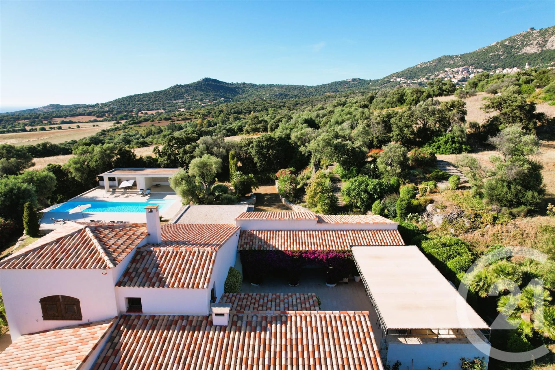 Lumio (Upper Corsica) photo 4
