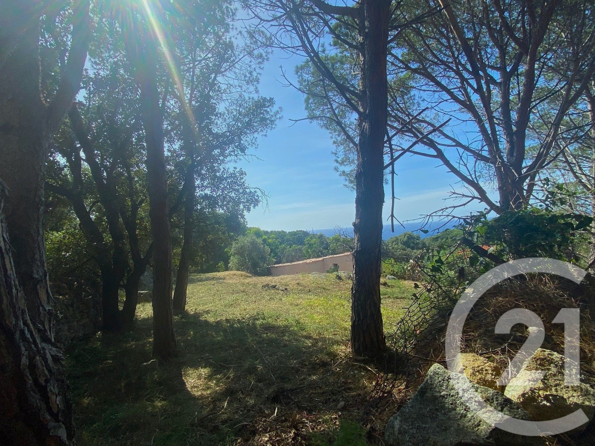 Corbara (Upper Corsica) photo 2