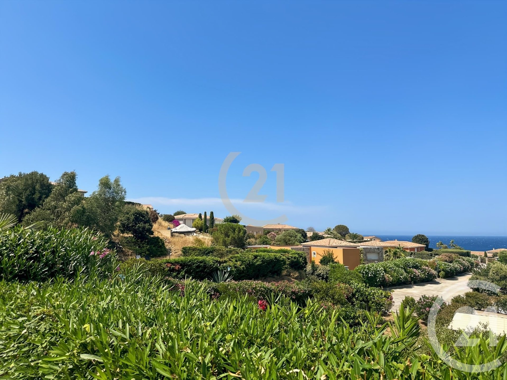 Lumio (Upper Corsica)