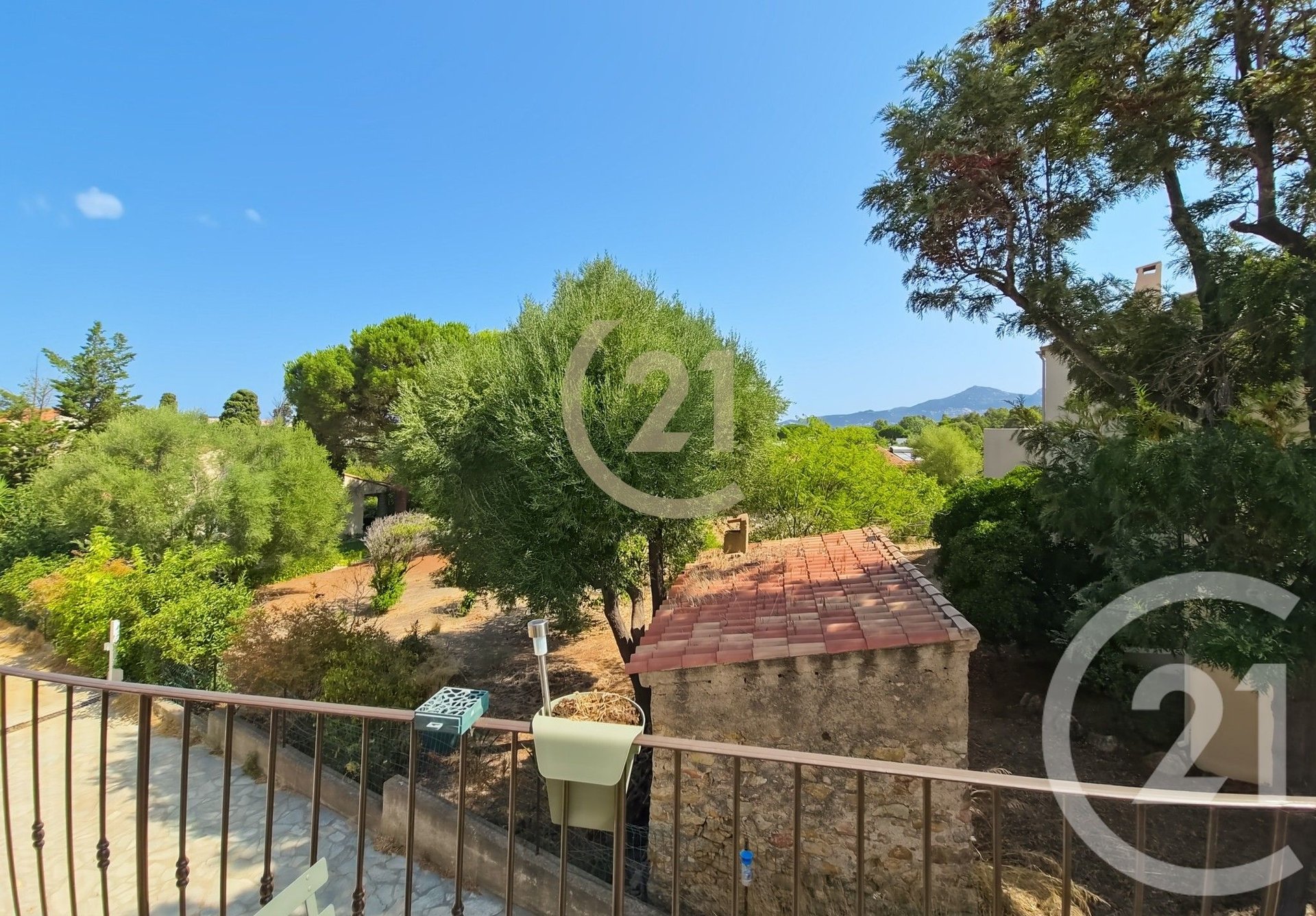 Calvi (Upper Corsica) photo 2