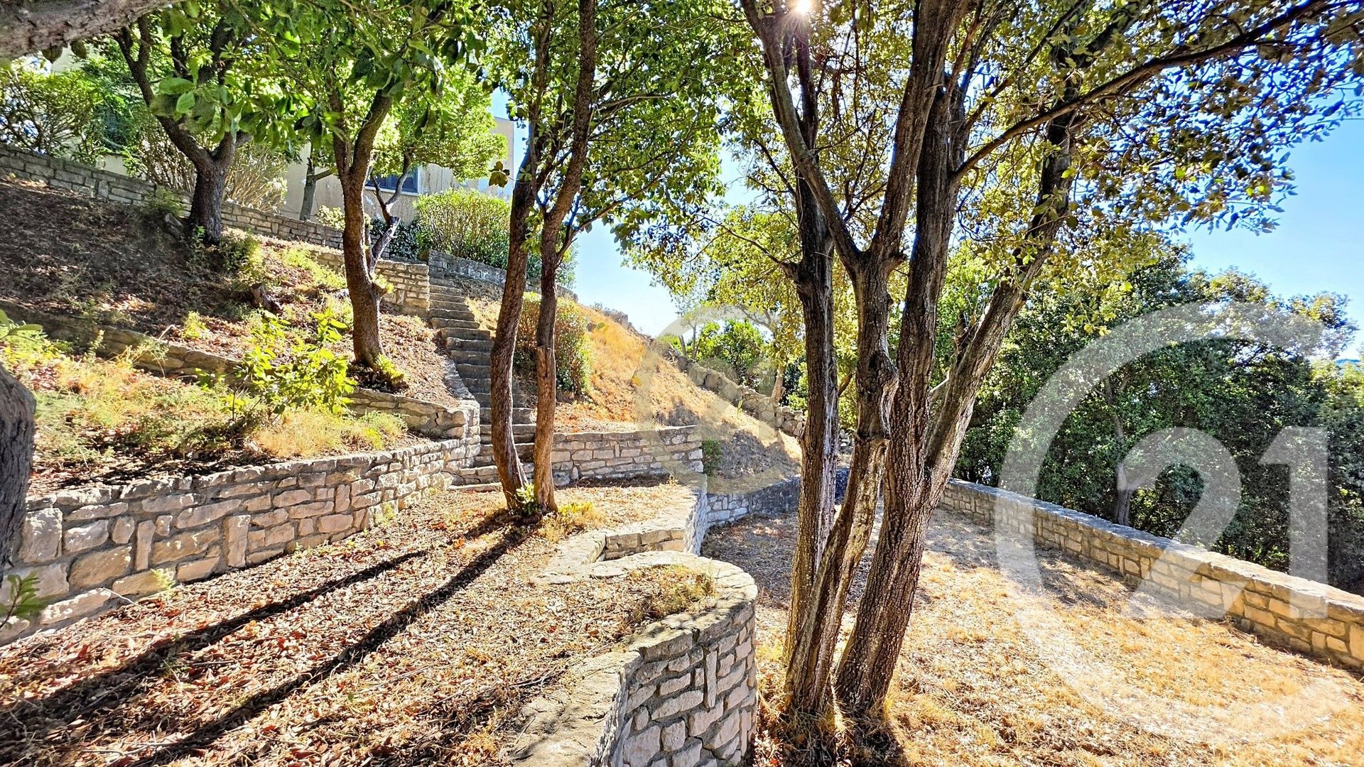 Patrimonio (Upper Corsica) photo 4