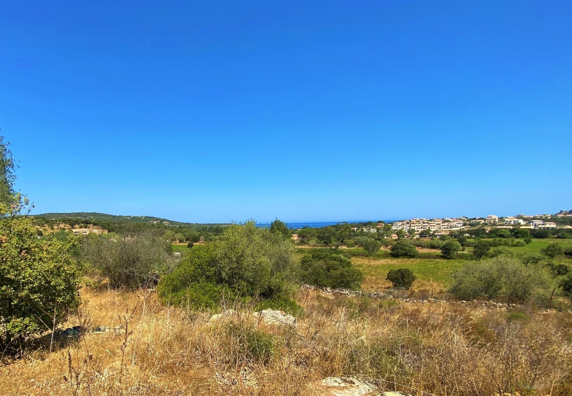 Belgodère (Upper Corsica)