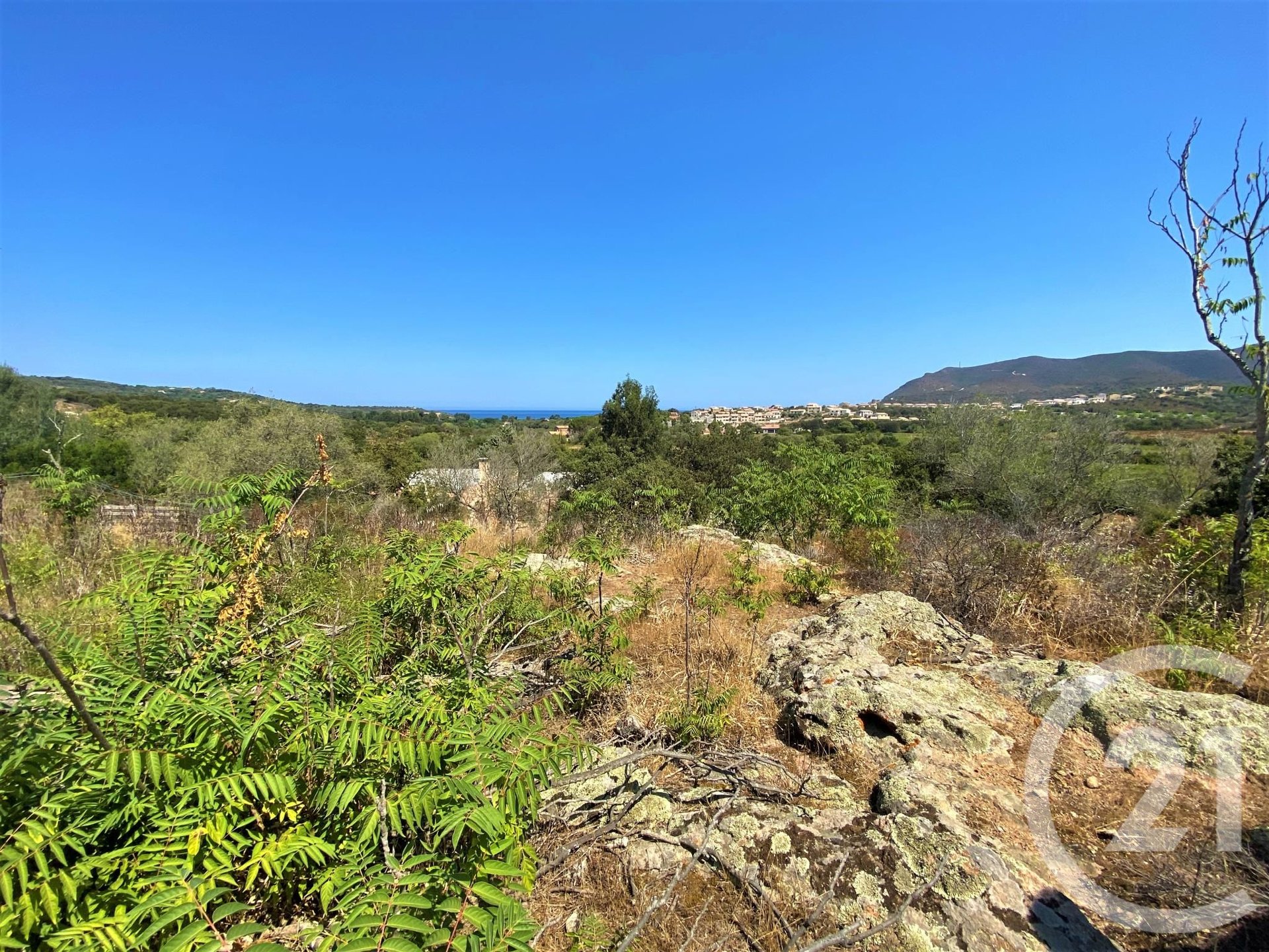 Belgodère (Upper Corsica) photo 2