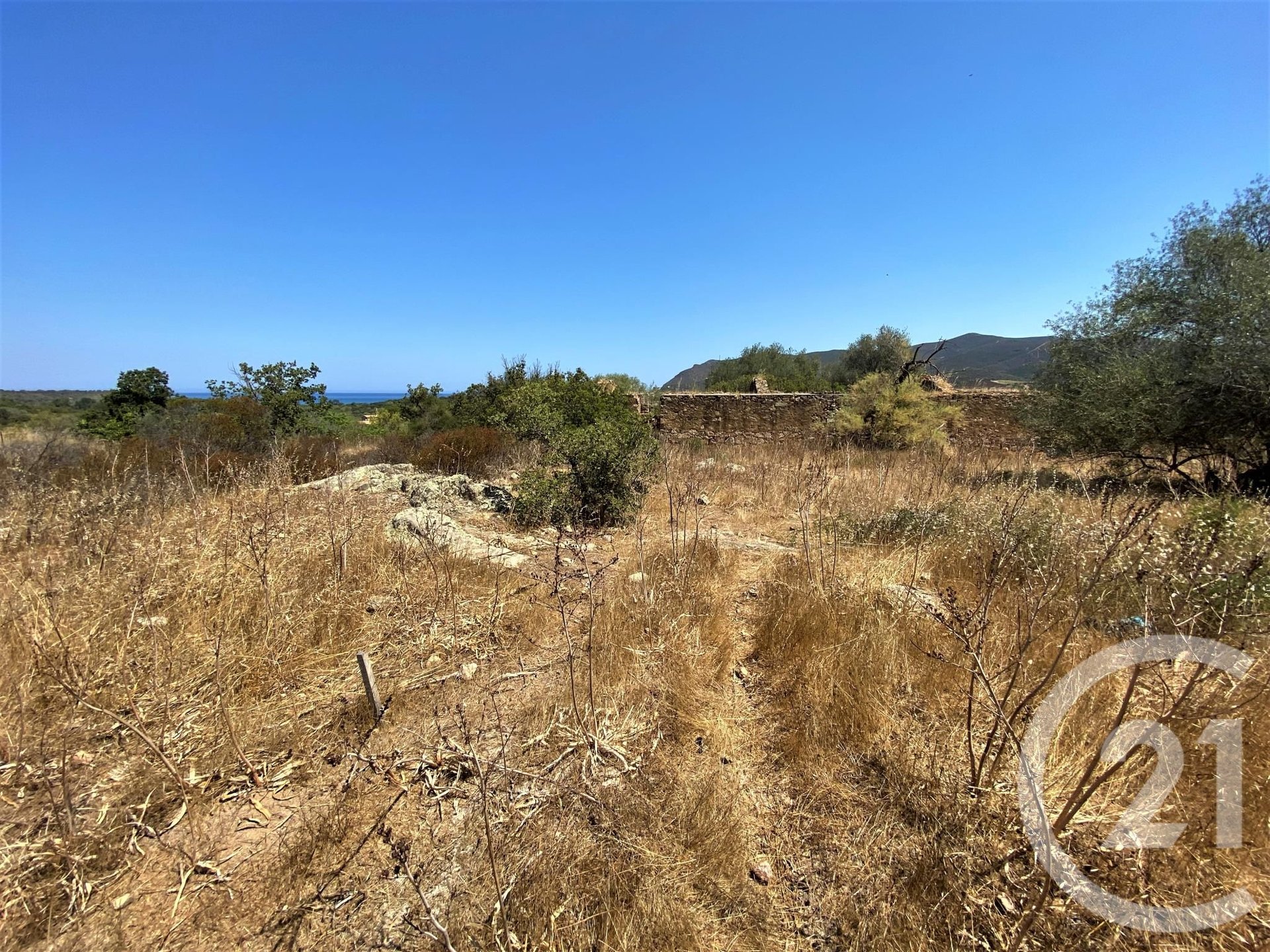 Belgodère (Upper Corsica) photo 3