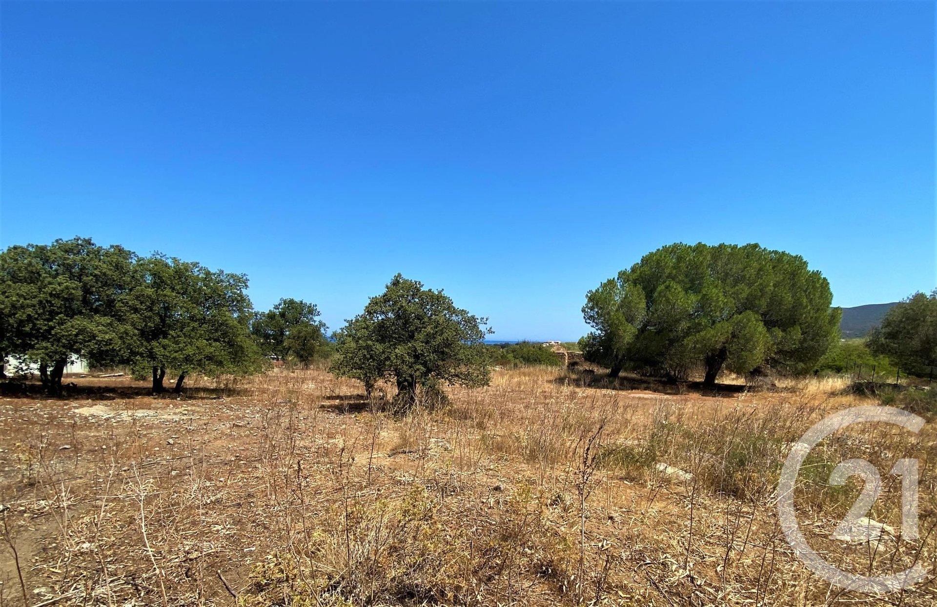 Belgodère (Upper Corsica) photo 5