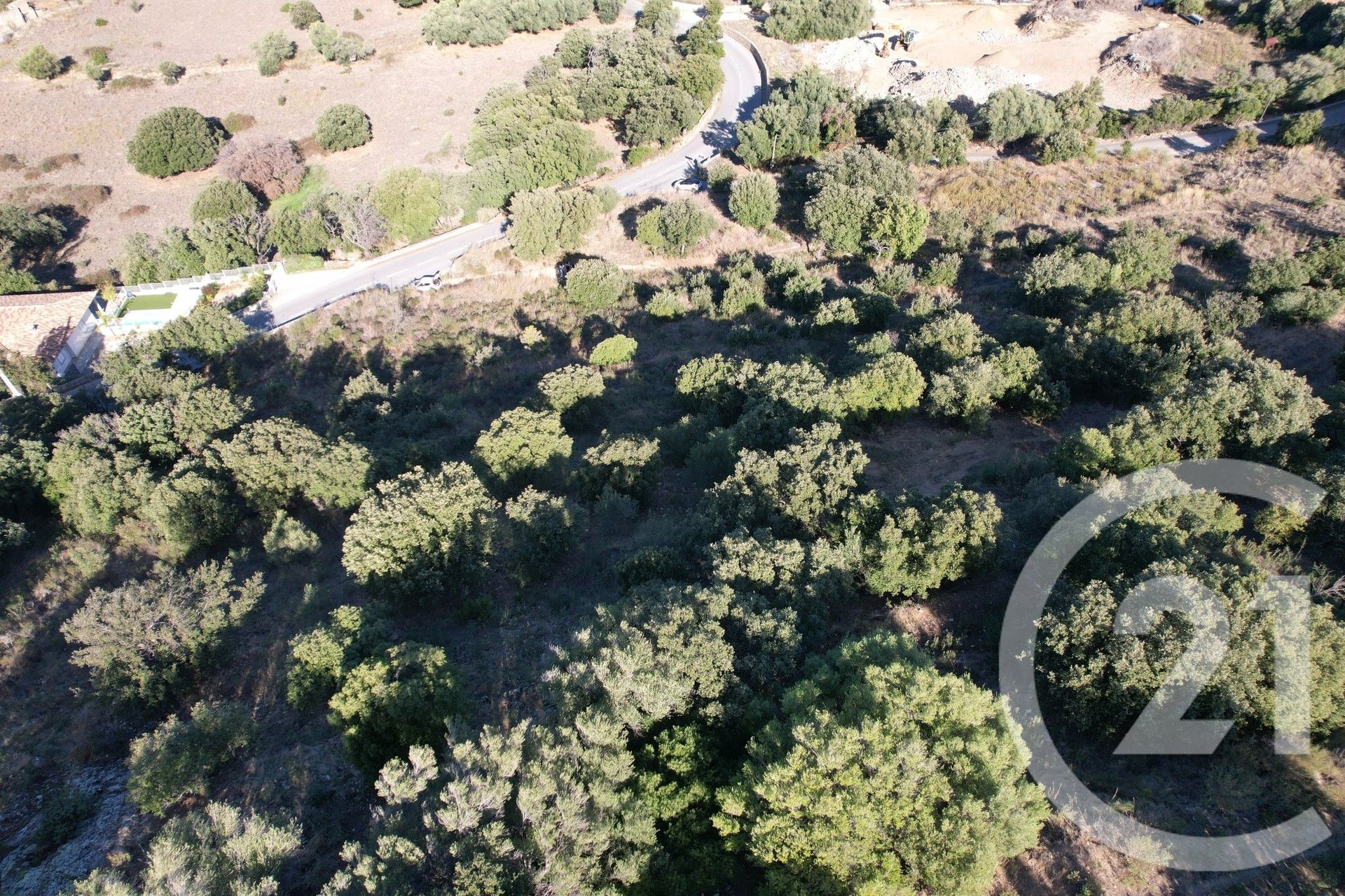 Monticello (Upper Corsica) photo 3