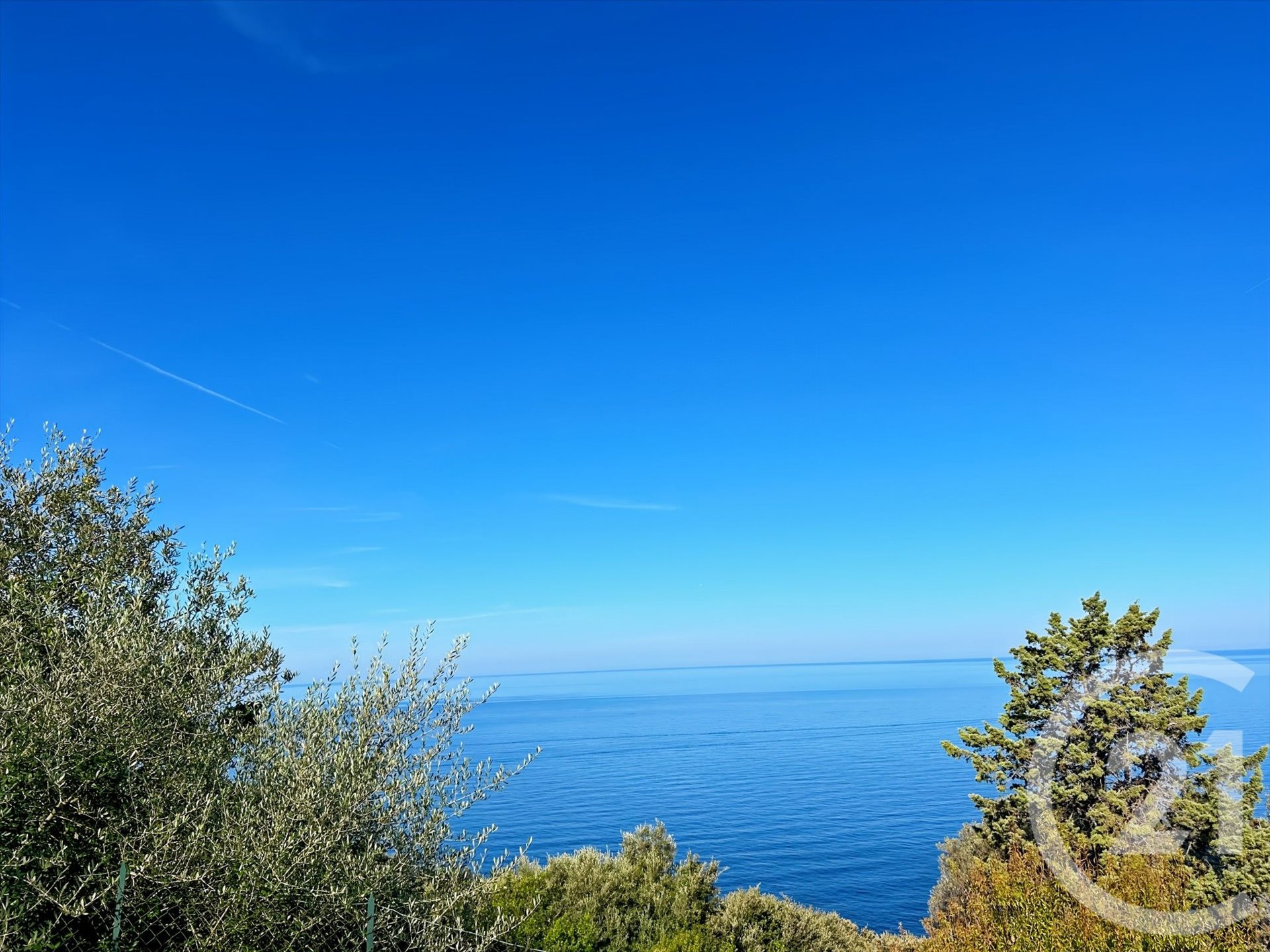 Canari (Upper Corsica) photo 2