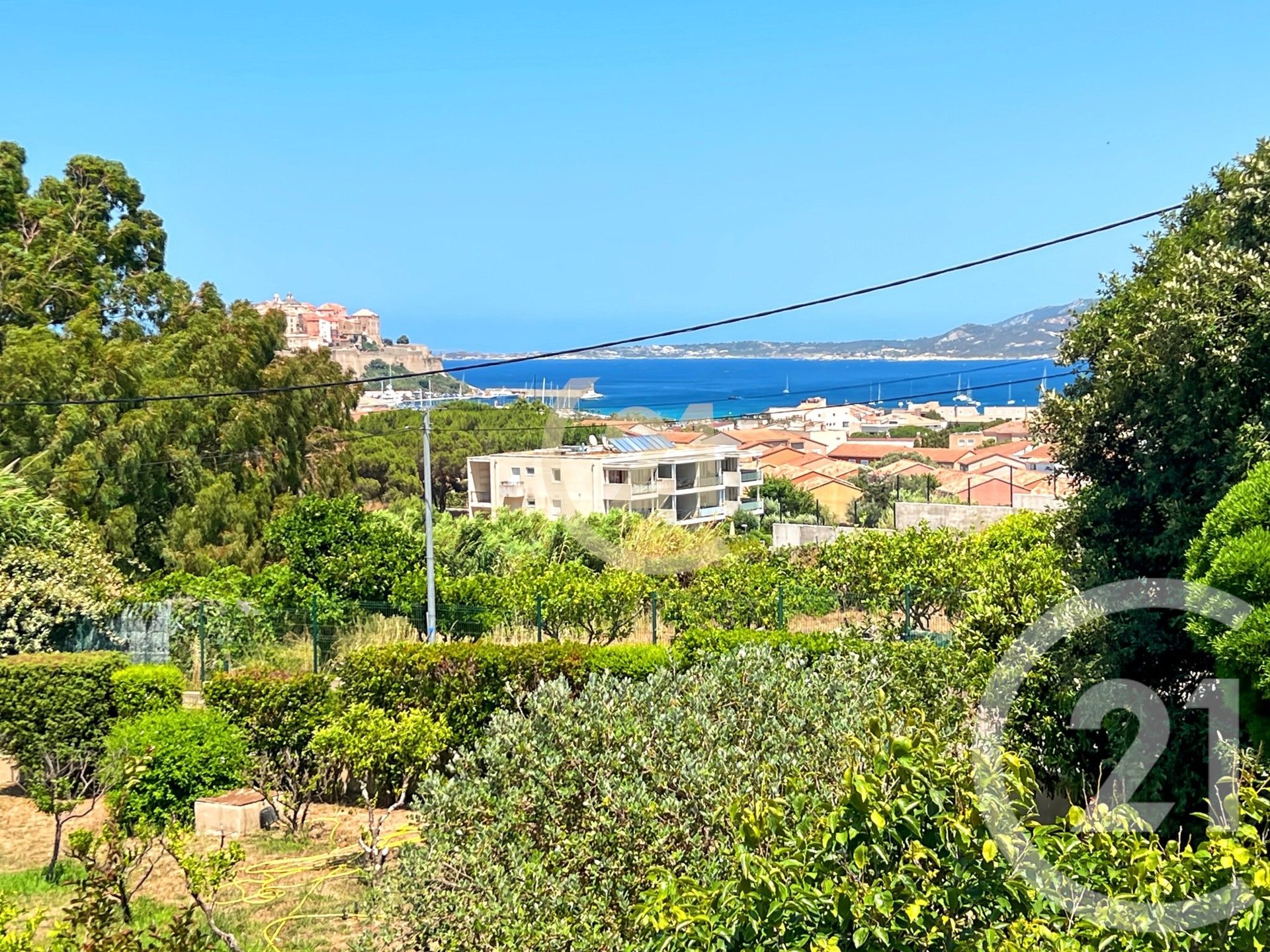 Calvi (Upper Corsica)