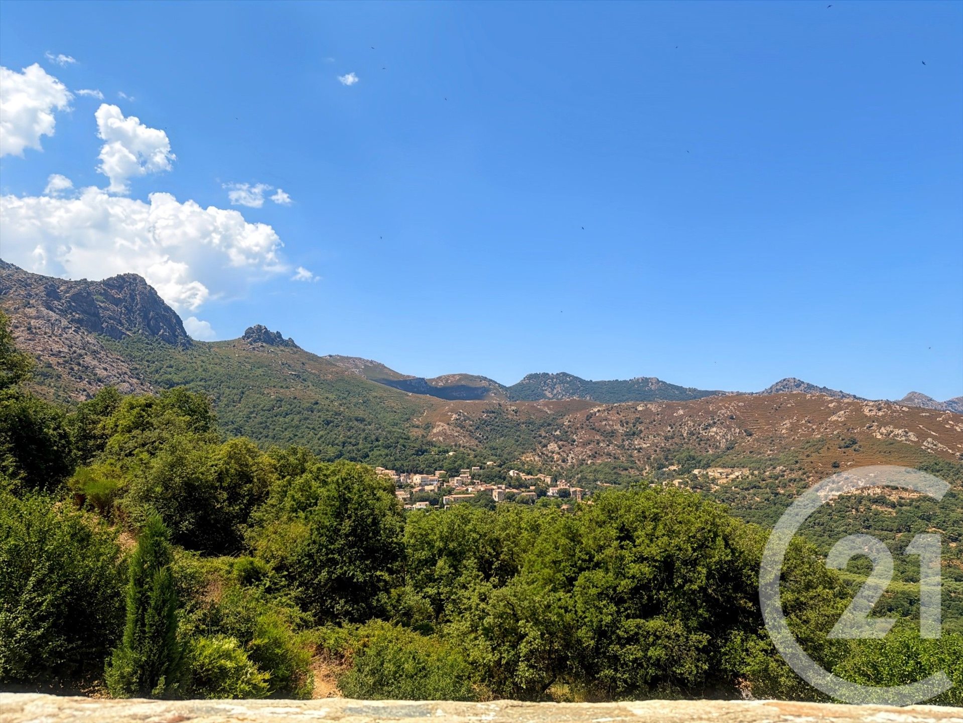 Nessa (Upper Corsica)