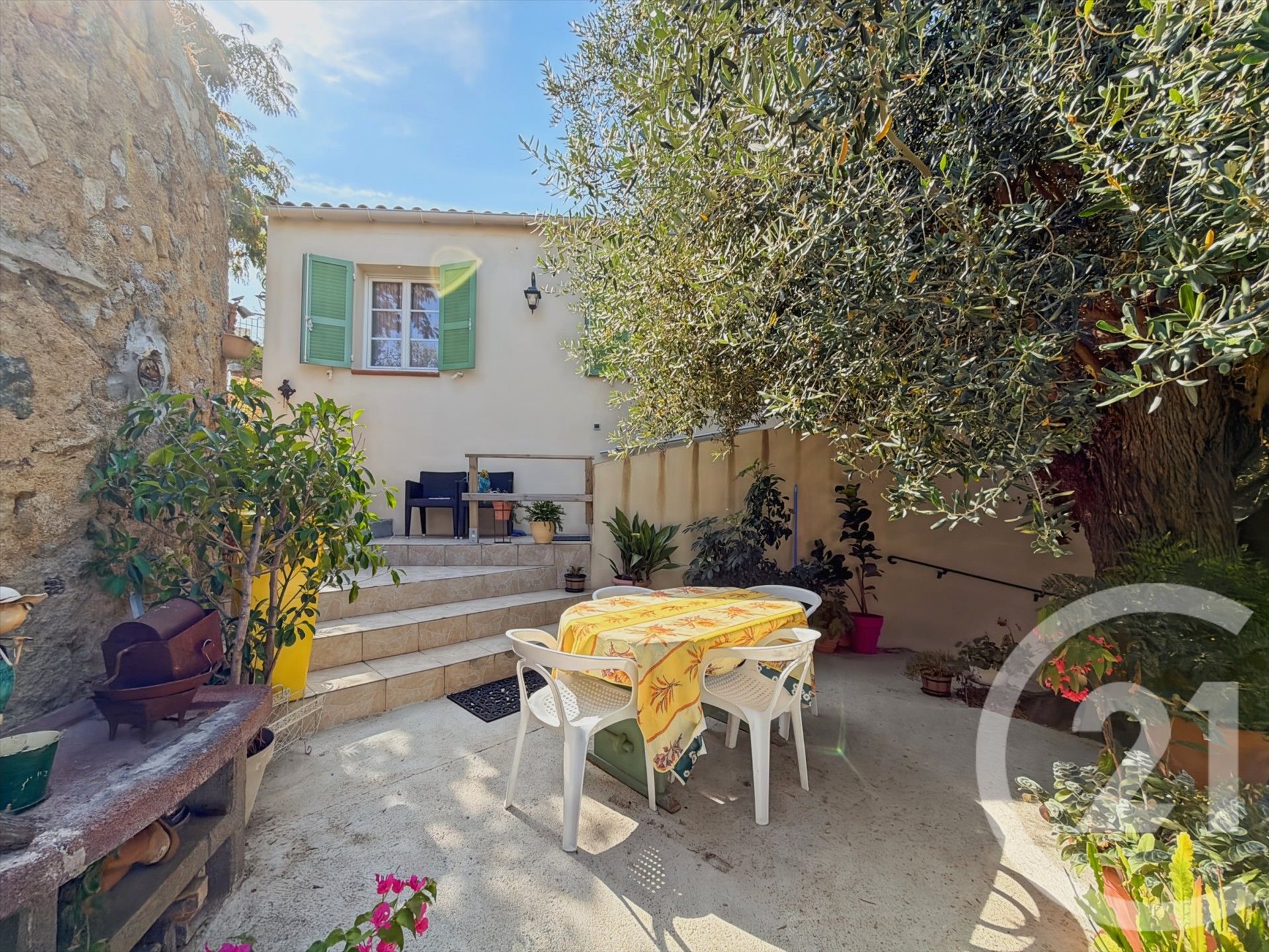 Aregno (Upper Corsica) photo 4