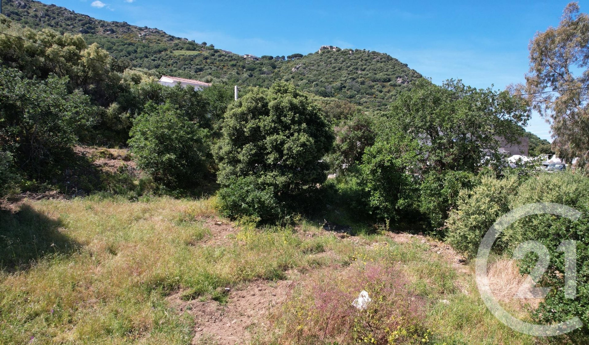Corbara (Upper Corsica) photo 3