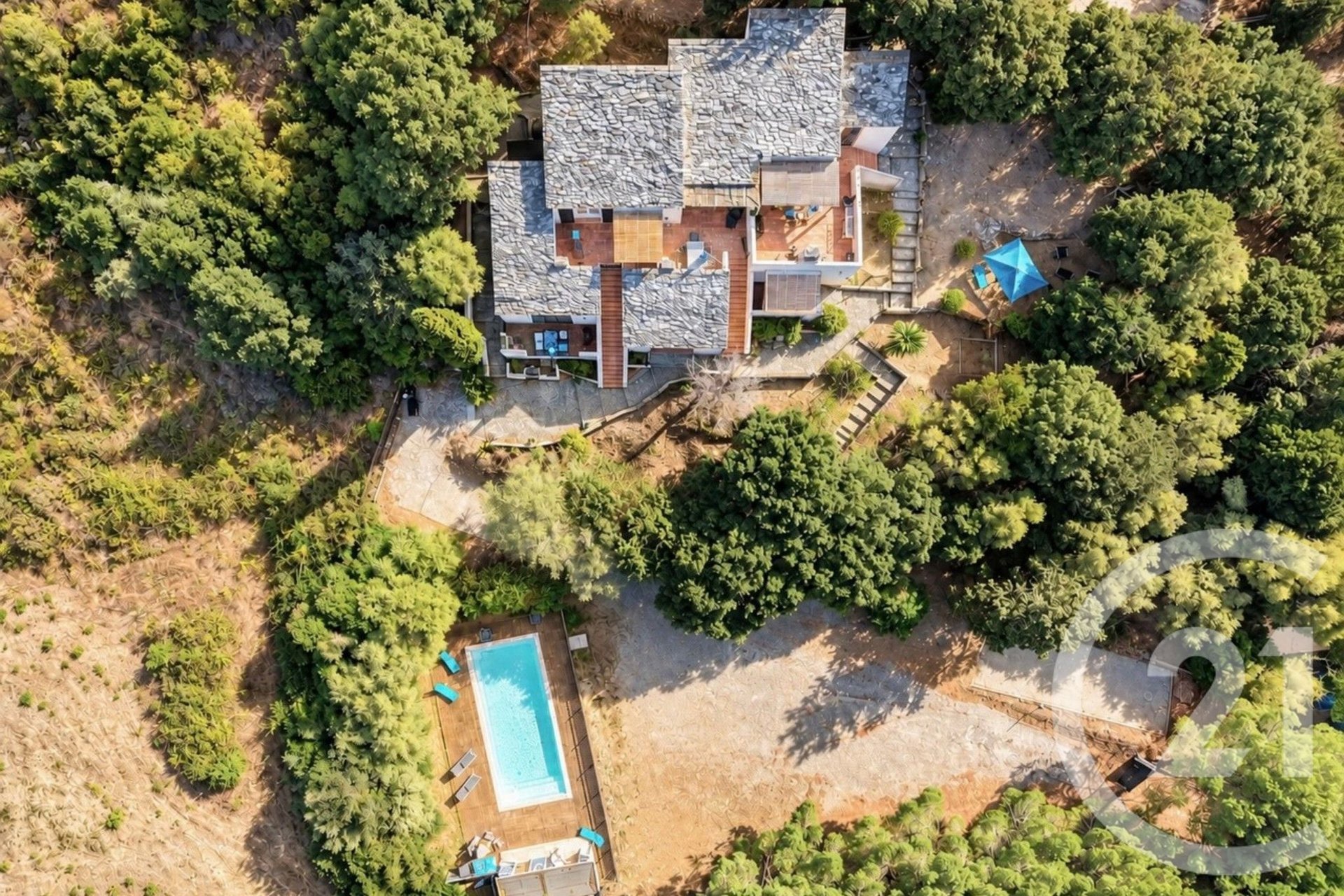 Patrimonio (Upper Corsica)