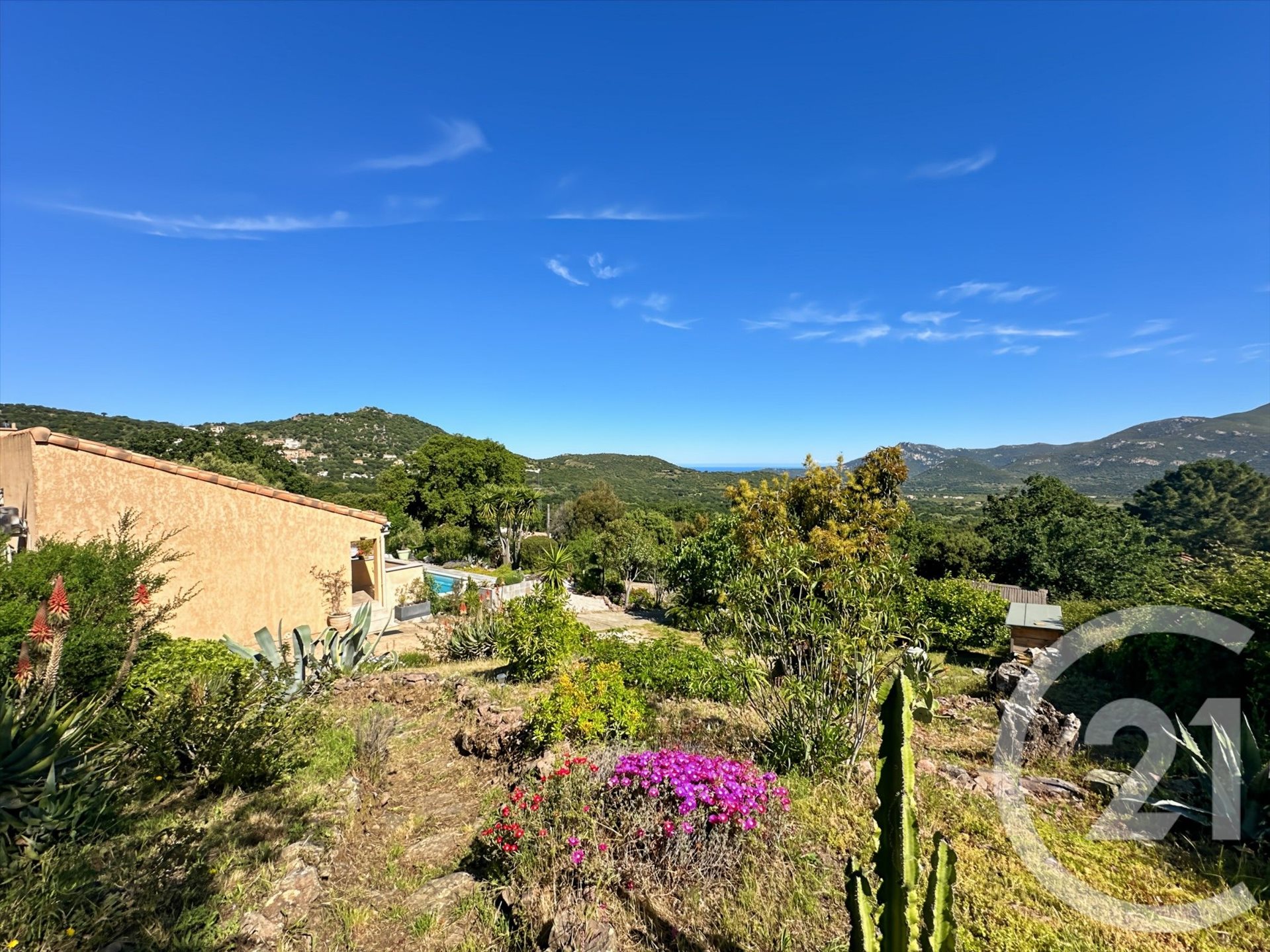 Calenzana (Upper Corsica) photo 2