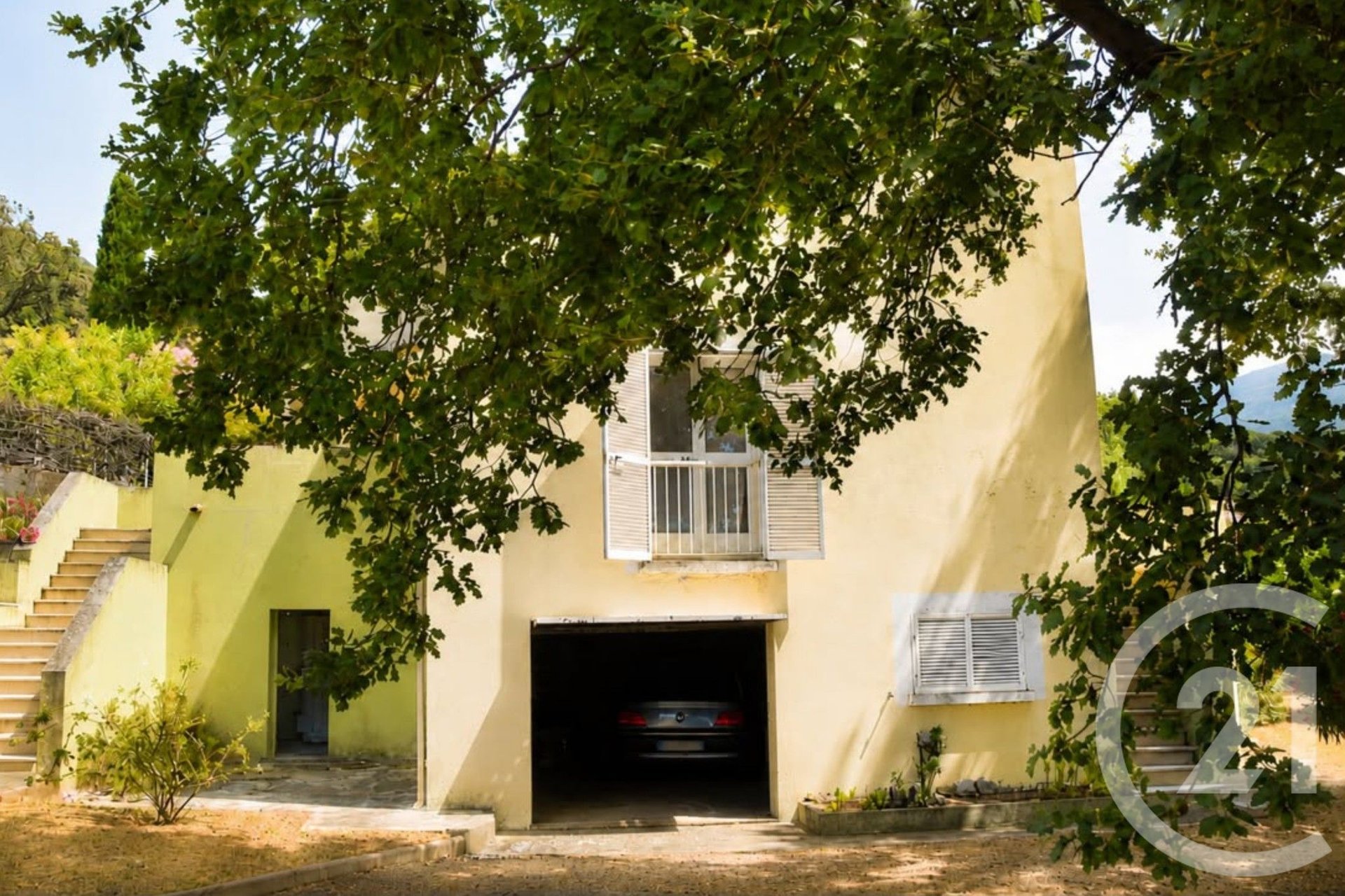Patrimonio (Upper Corsica)