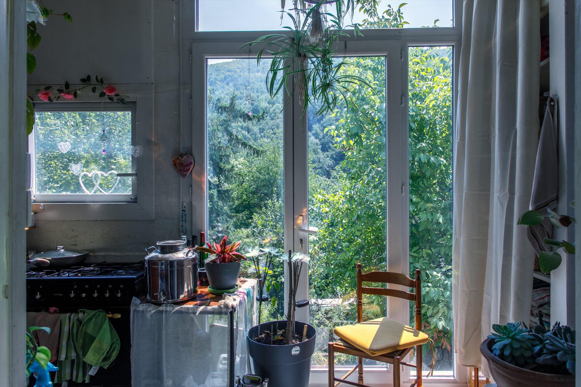 Maison à vendre, 370m², Prats-de-Mollo-la-Preste