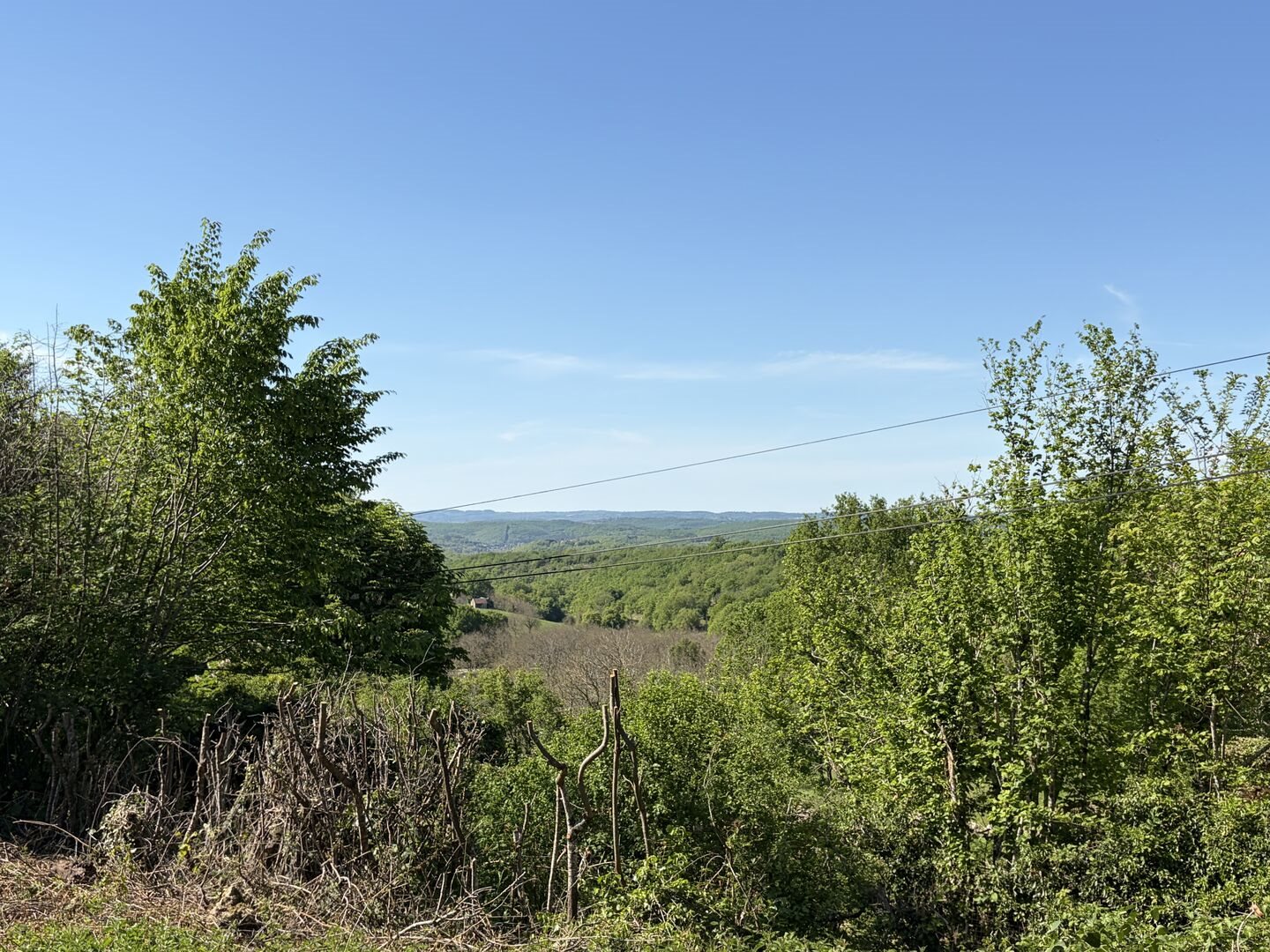 Maison à vendre, 80m², Salignac-Eyvigues