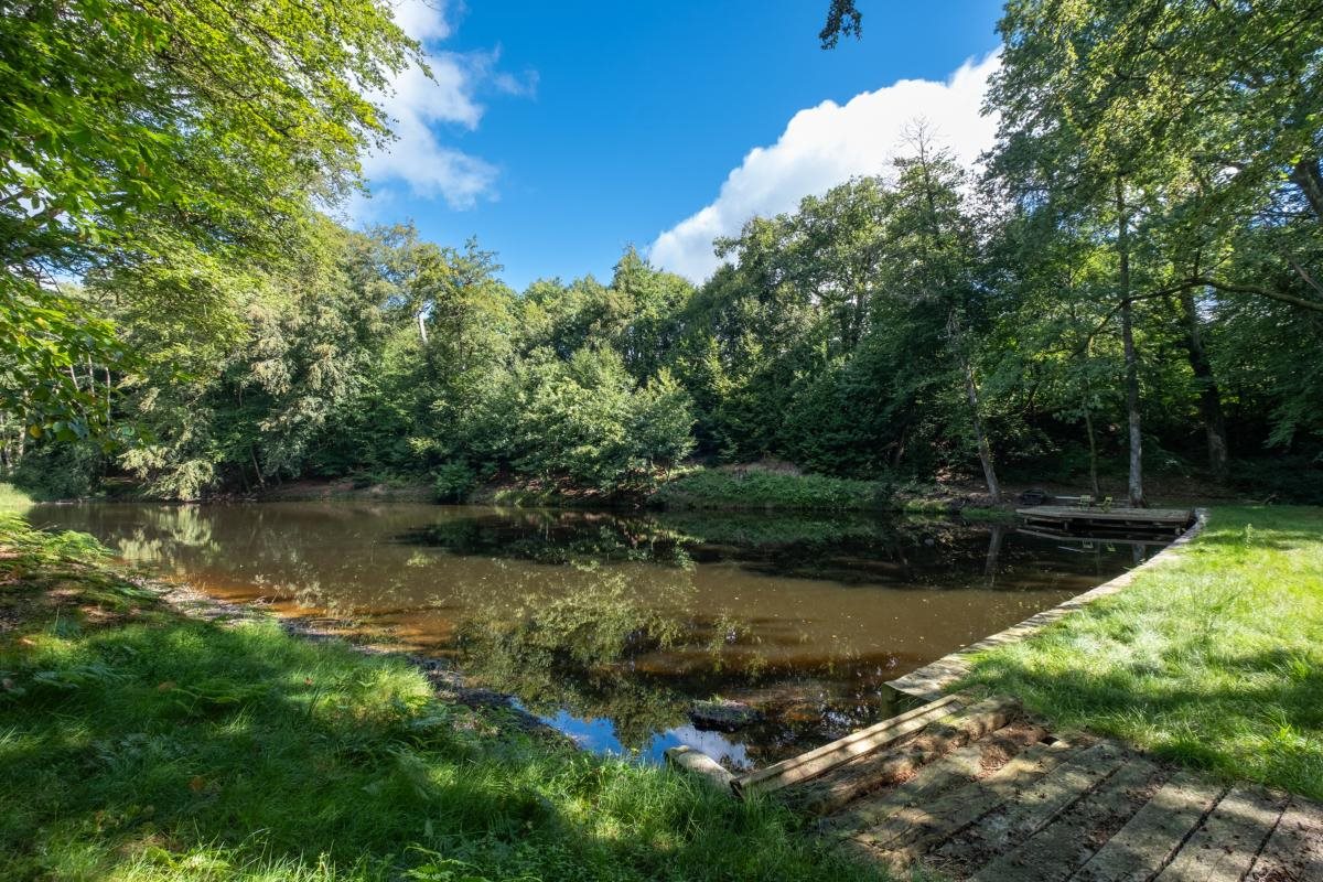 Maison à vendre, 308m², Ambazac