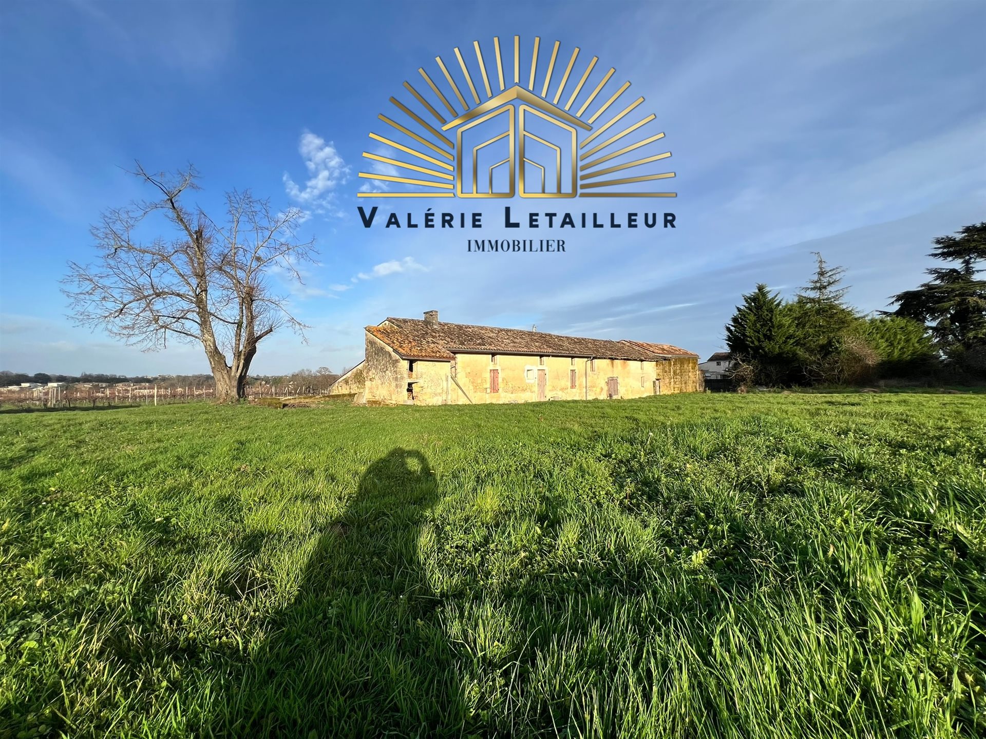 Maison à vendre, 420m², Saint-Quentin-de-Baron