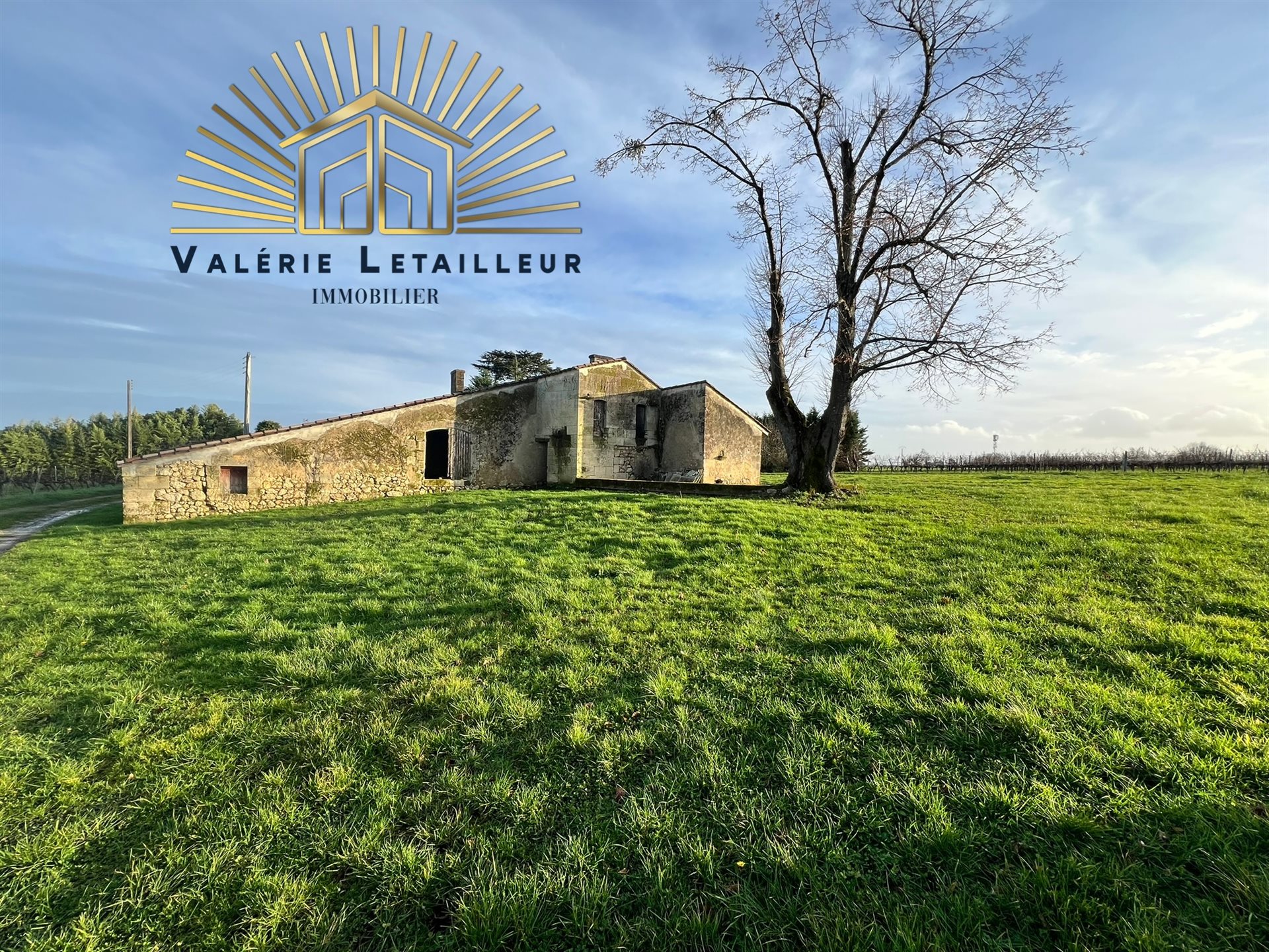 Maison à vendre, 420m², Saint-Quentin-de-Baron