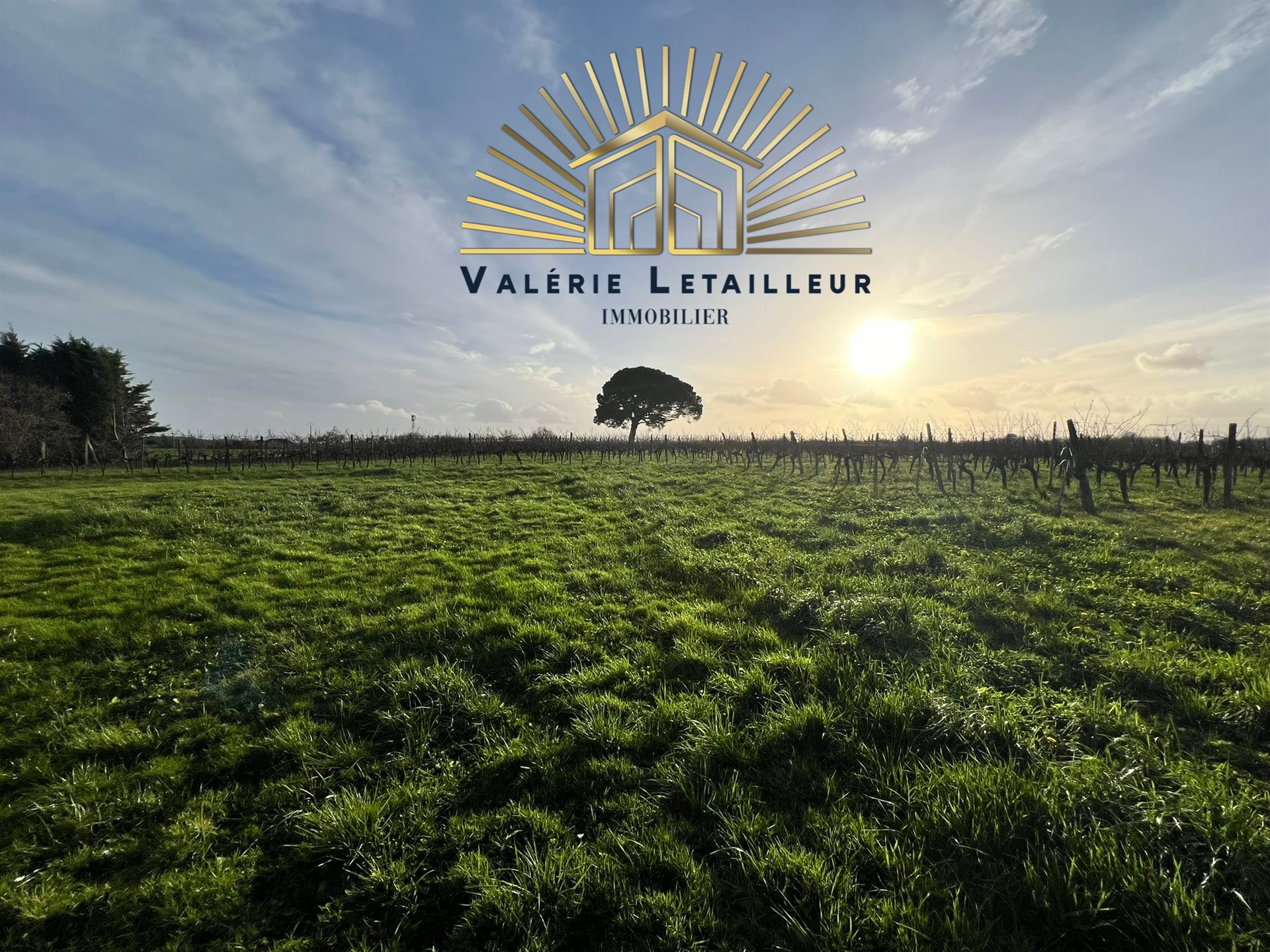 Maison à vendre, 420m², Saint-Quentin-de-Baron