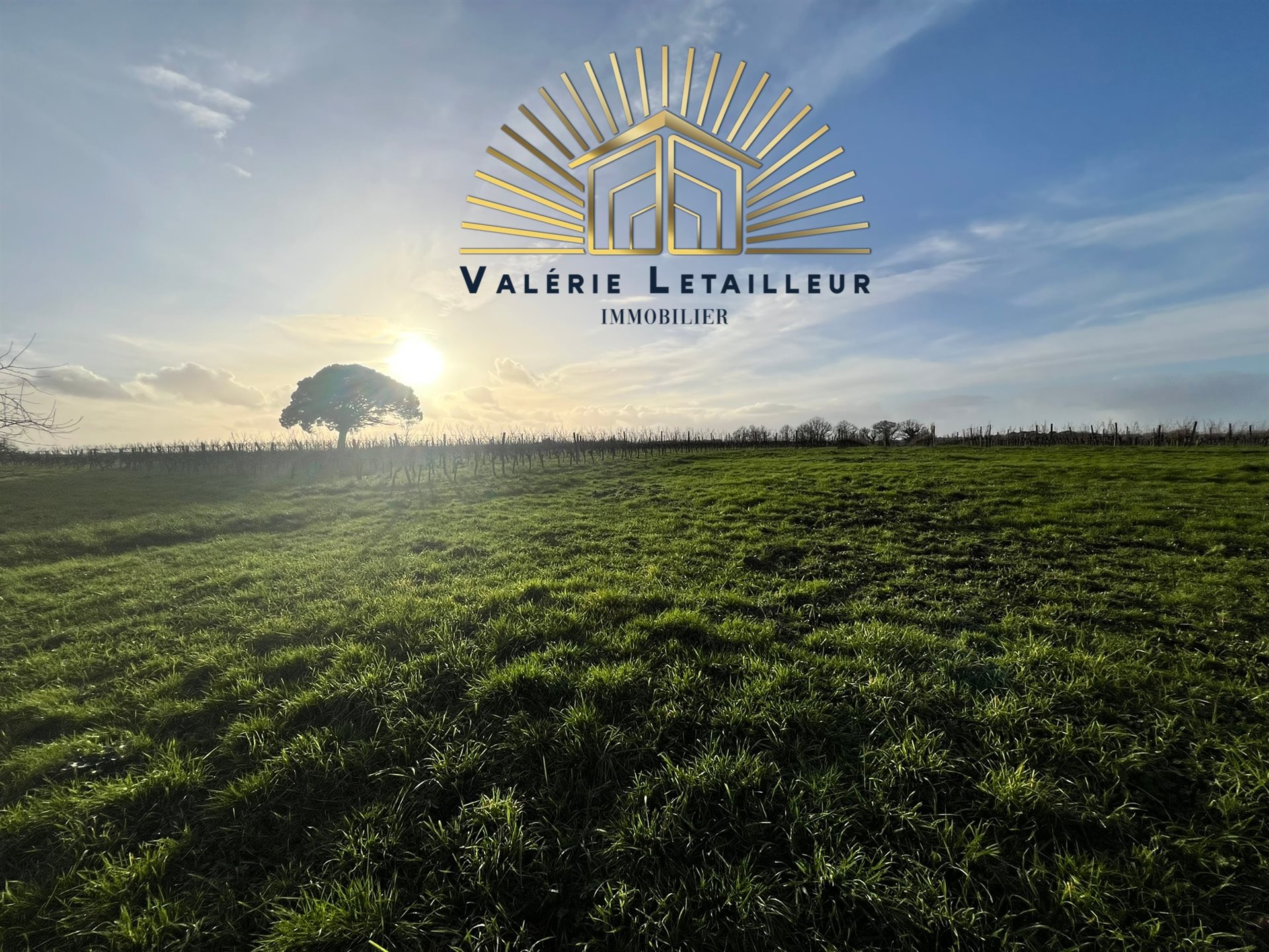 Maison à vendre, 420m², Saint-Quentin-de-Baron