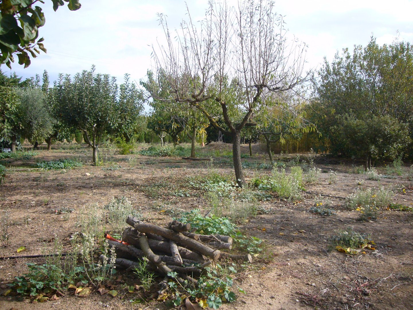 Maison à vendre, 230m², Béziers