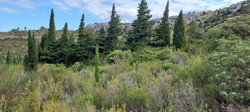 Terrain 7500 m² · à Treilles · 186 000 €