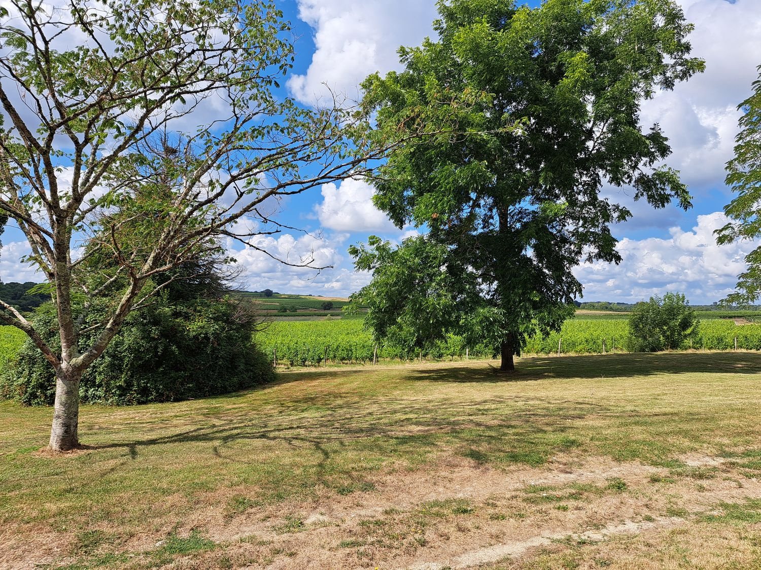 Maison à vendre, 380m², Cadillac-sur-Garonne