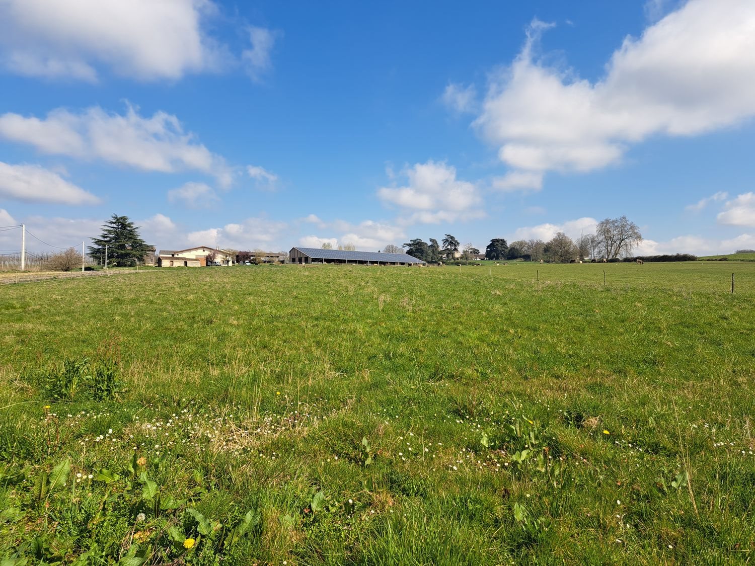 Maison à vendre, 200m², Casseuil