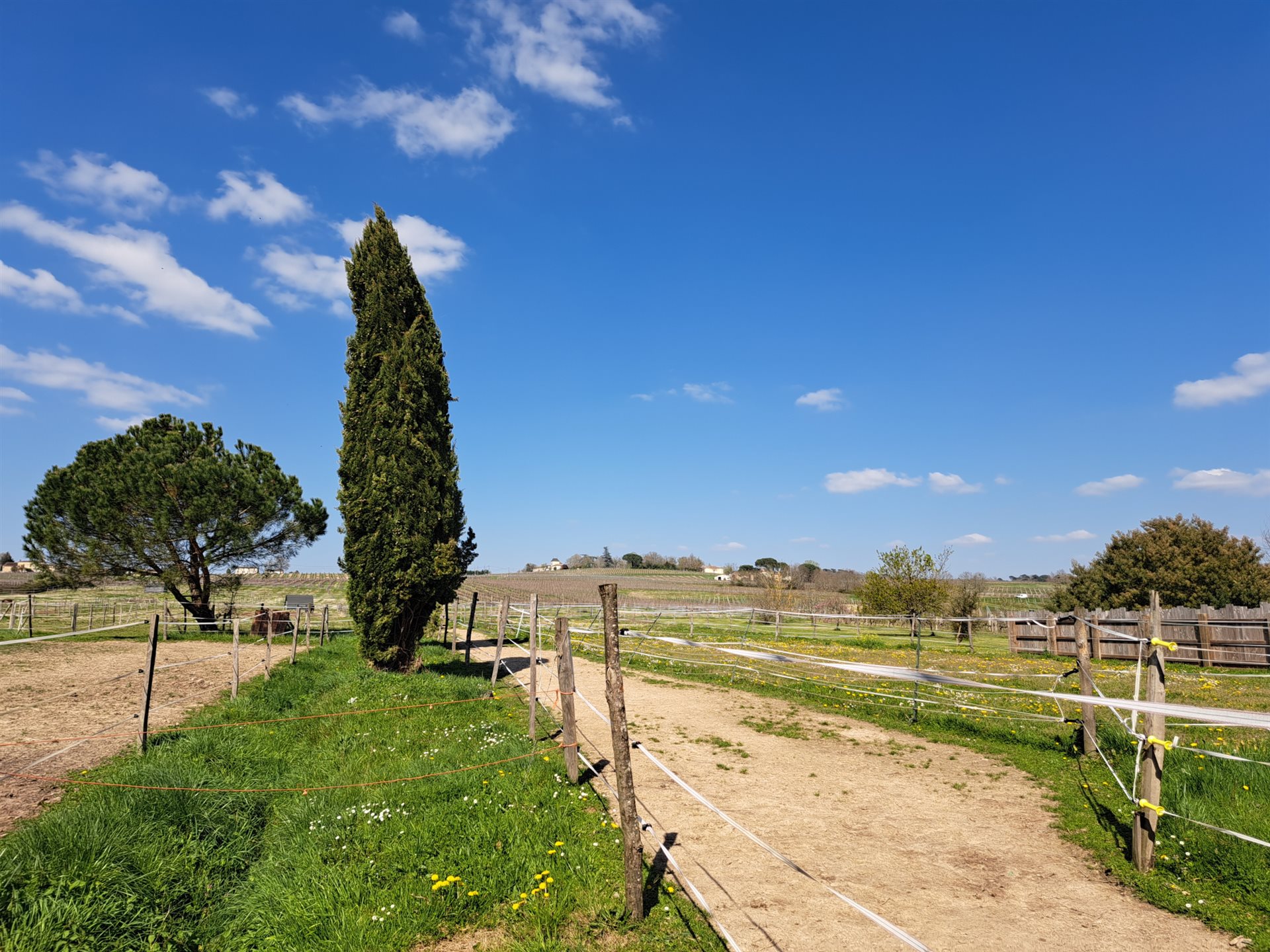 Maison à vendre, 147m², Saint-Macaire